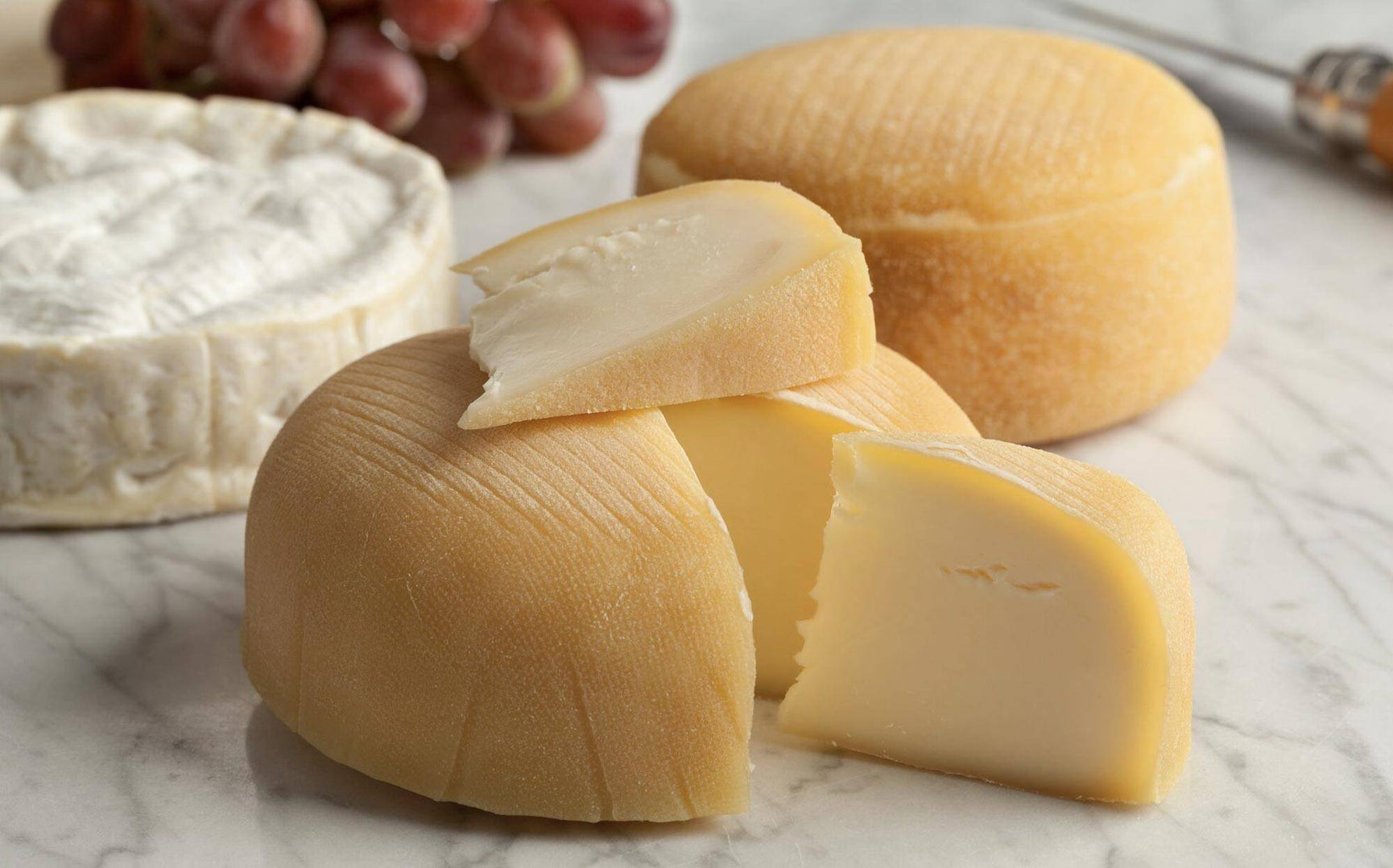 Learn About The Cheese Making Process - 