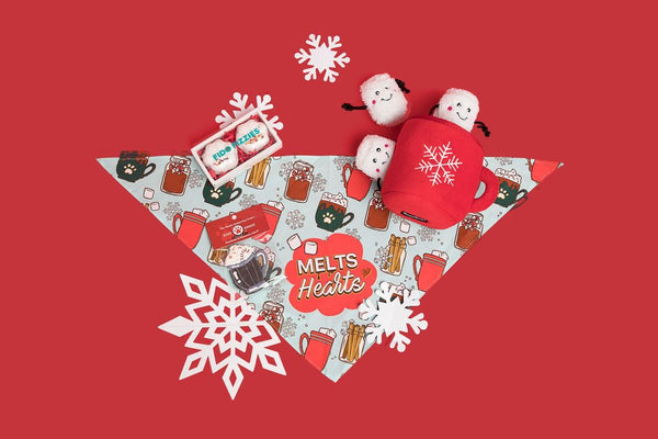Fido Fizzies Holiday Gift Melts Hearts Gift Set