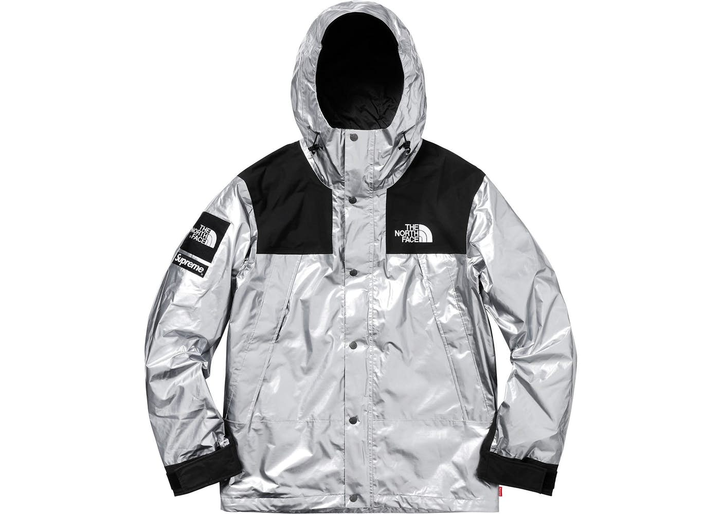 supreme north face metallic parka