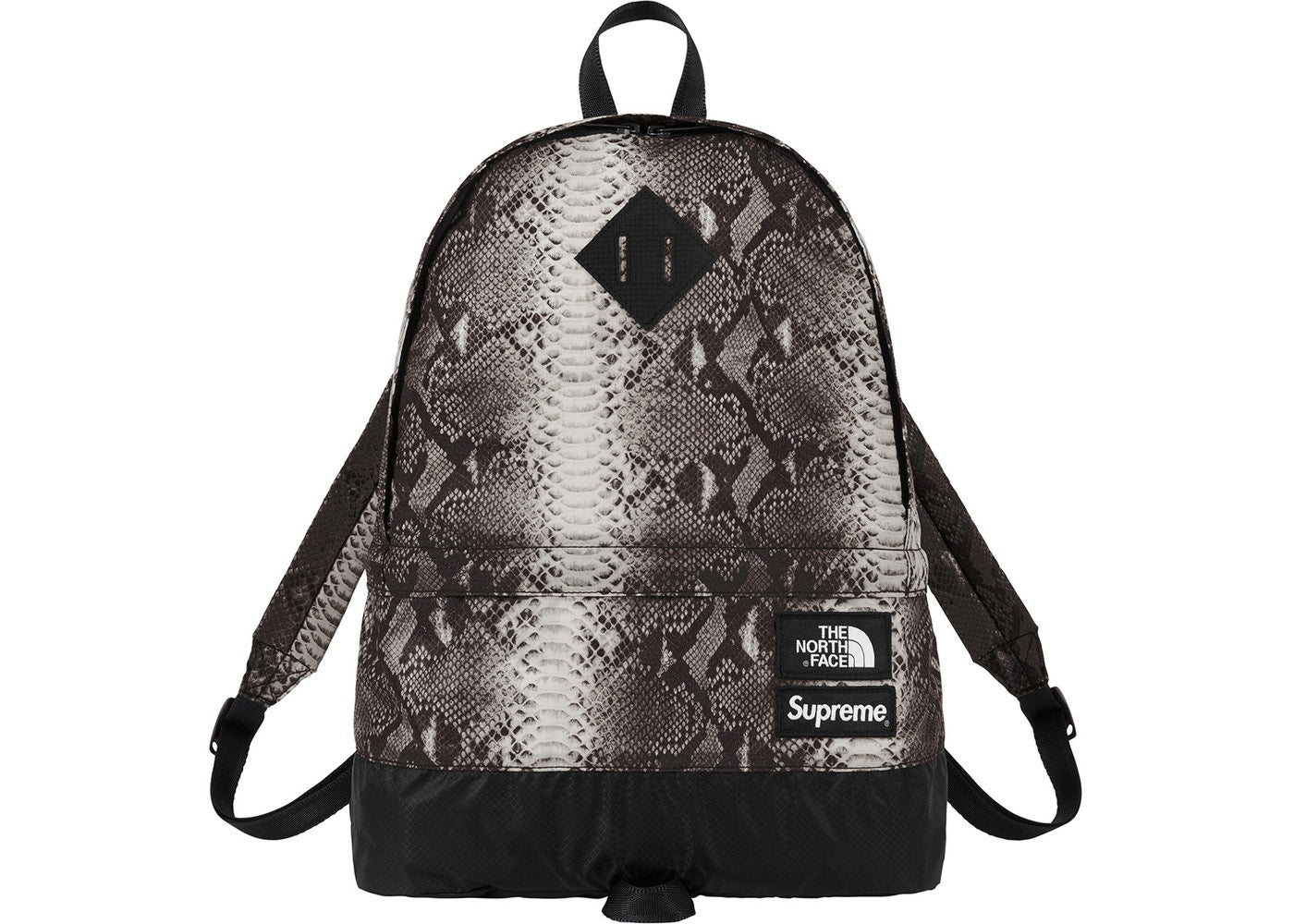 north face supreme leather backpack