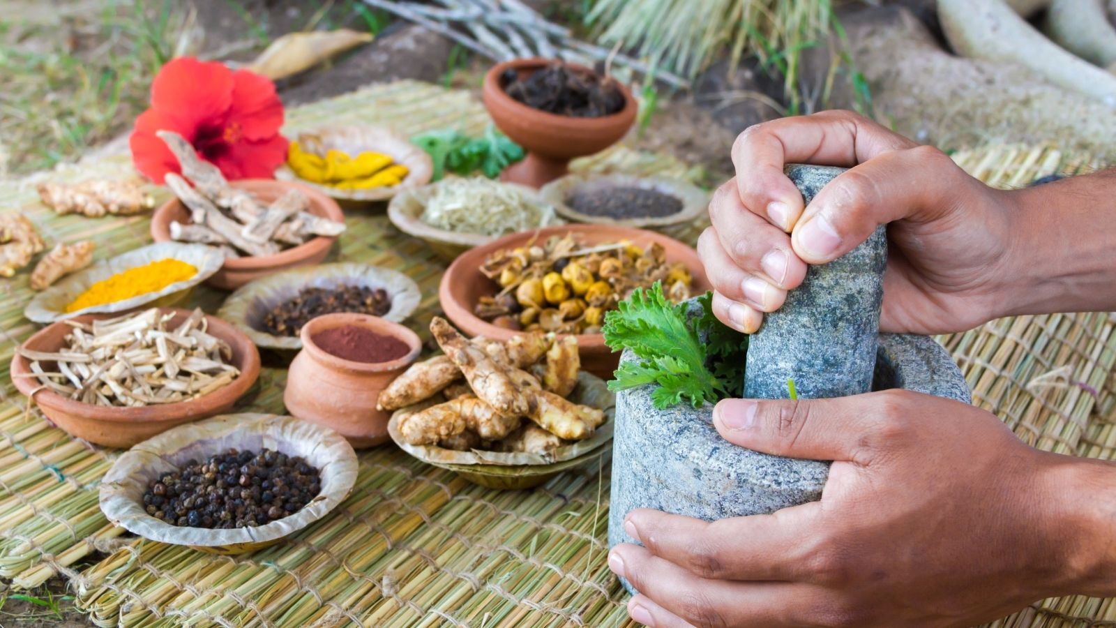 what is ayurvedic medicine