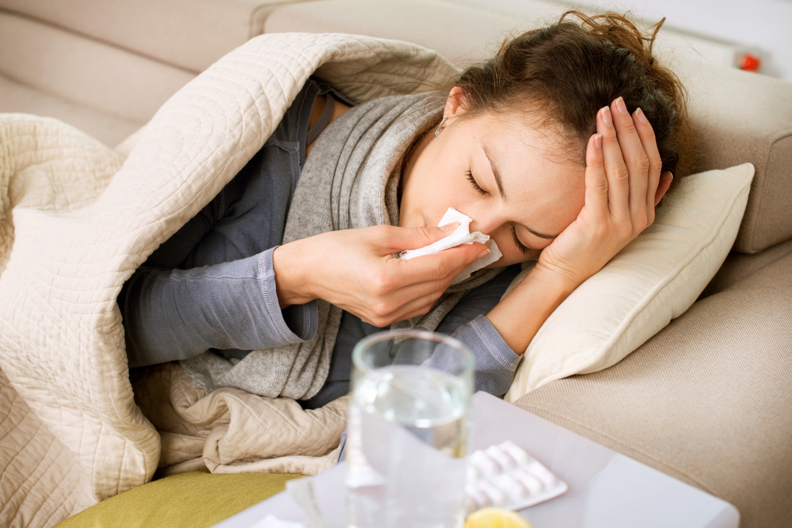 regular colds immune system