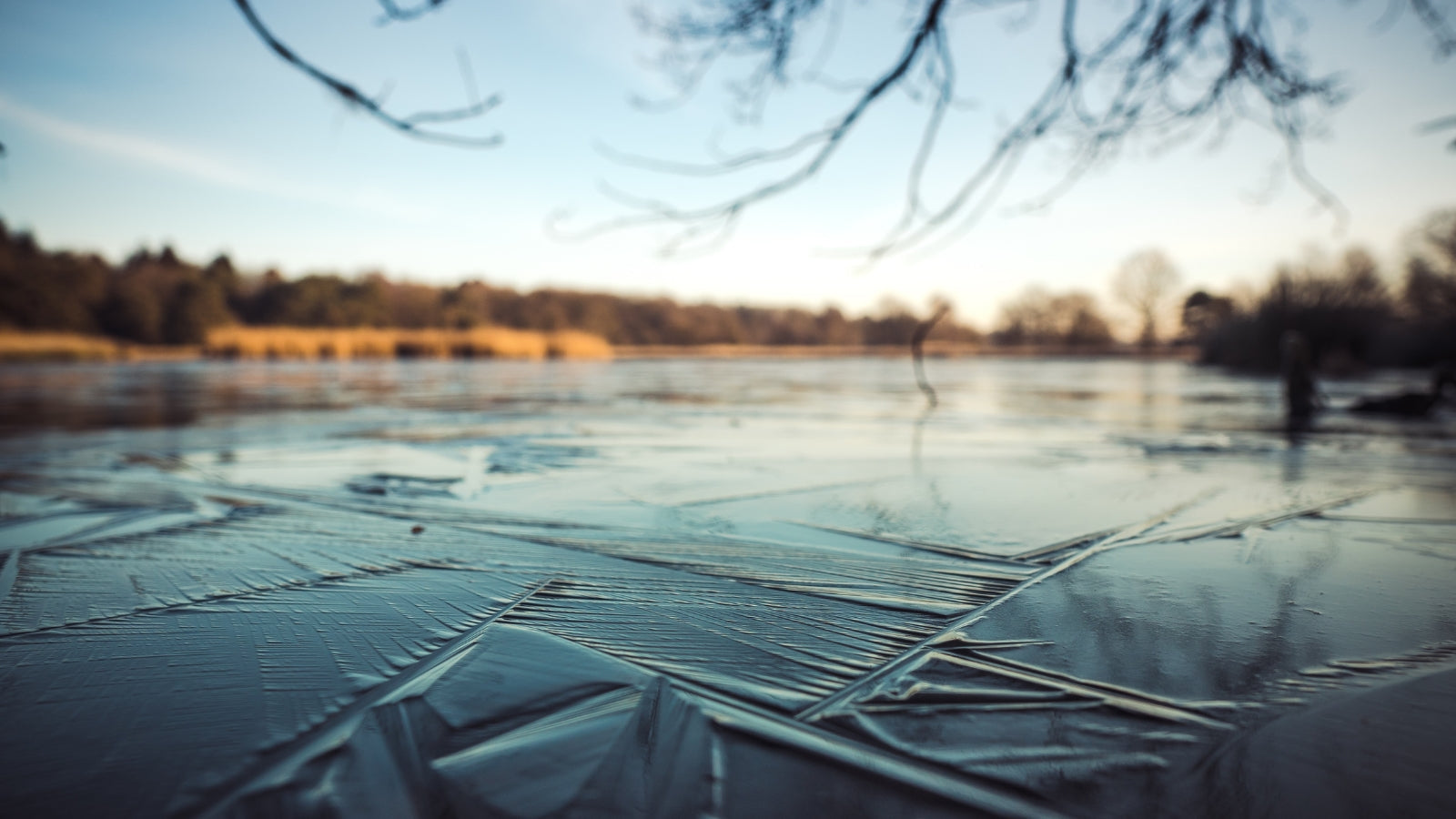 Cold Water Swimming