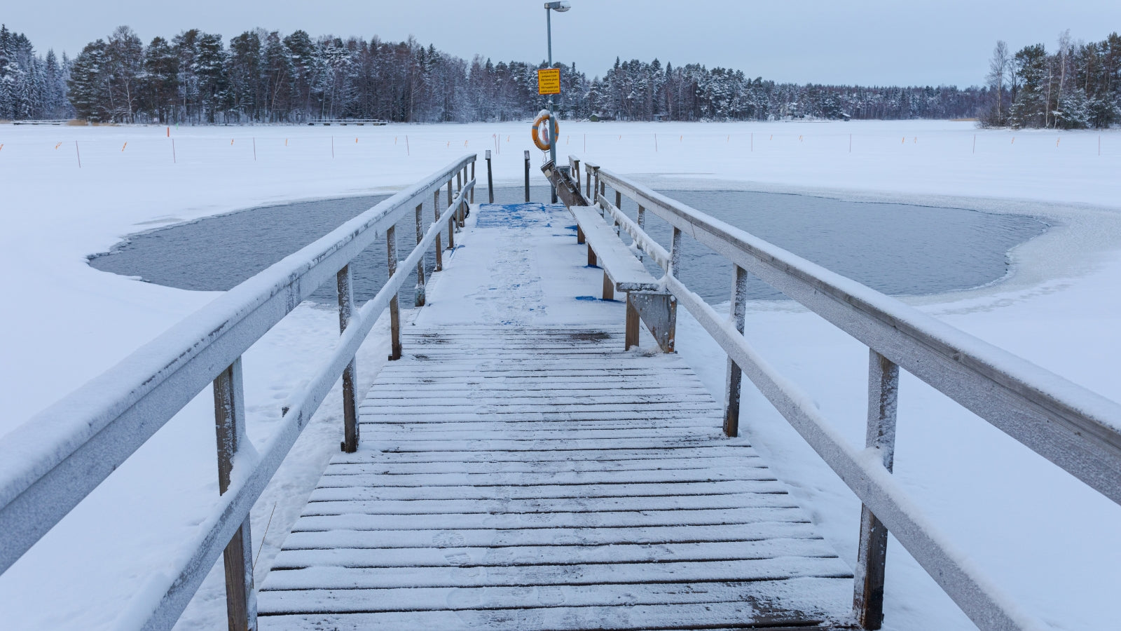 Cold Water Swimming