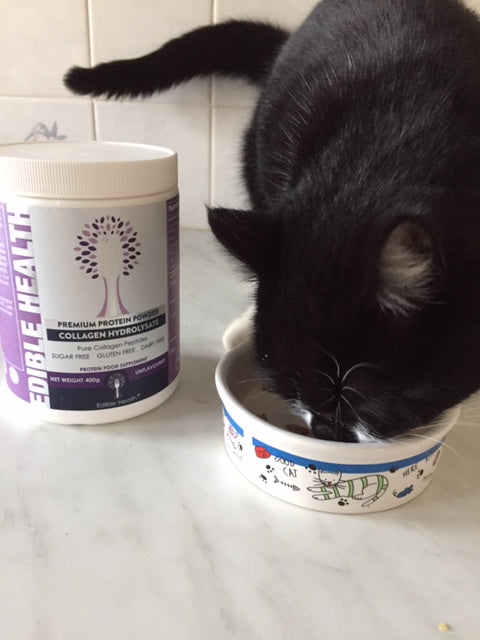 Collagen cat food