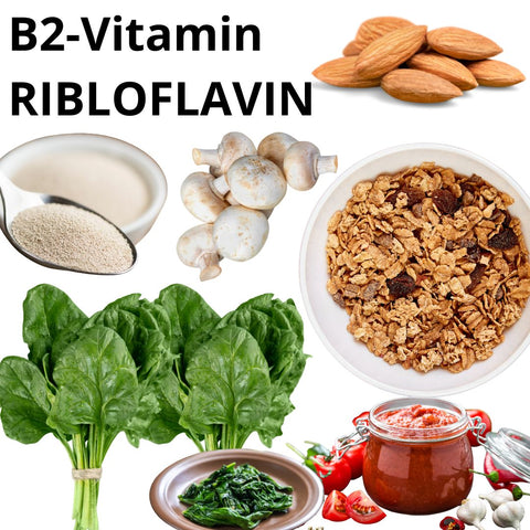 B2 - Vitramin - Ribloflavin