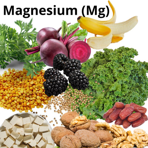 Magnesium