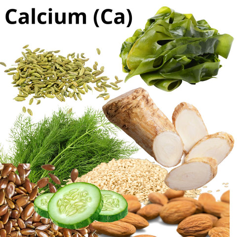 Calcium (Ca)