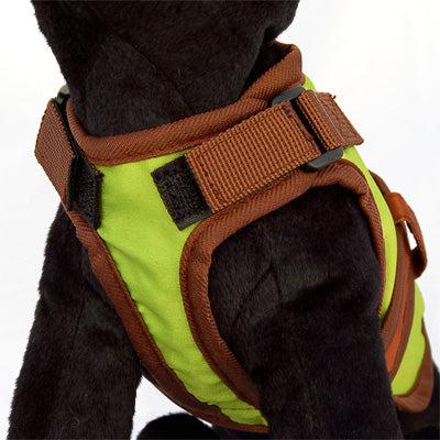 26 Bars & a Band Avant Garde Harness - Greenday -Large (#26AGH-GDLG)