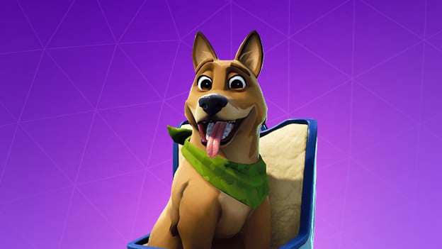 Pet A Dog Playing Fortnight