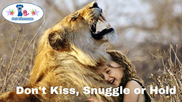 Don't Kiss, Snuggle or Hold