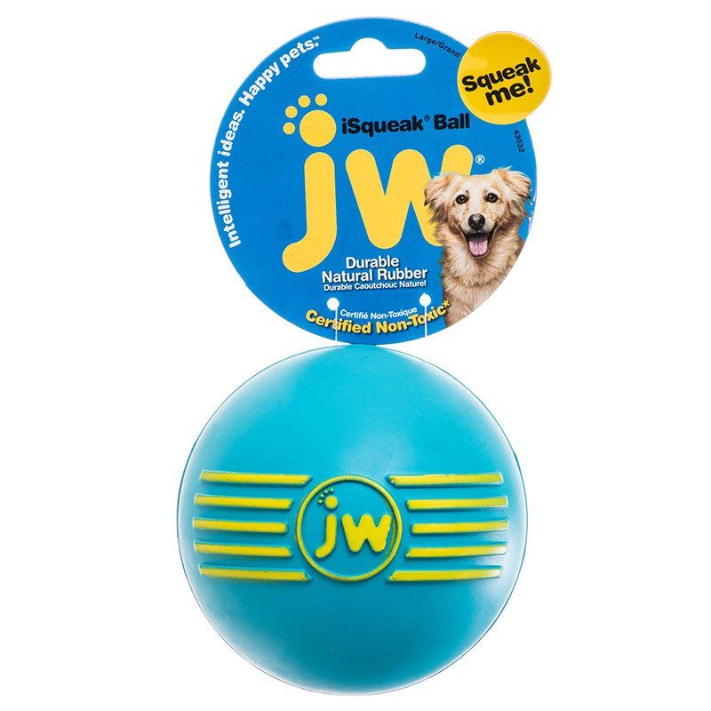 JW Pet iSqueak Ball - Rubber Dog Toy, Large - 4" Diameter