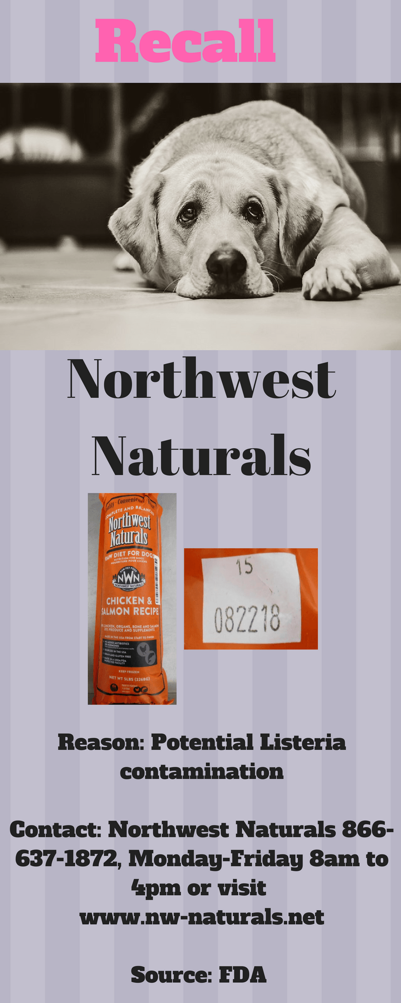 Northwest Naturals Dog Food Recall