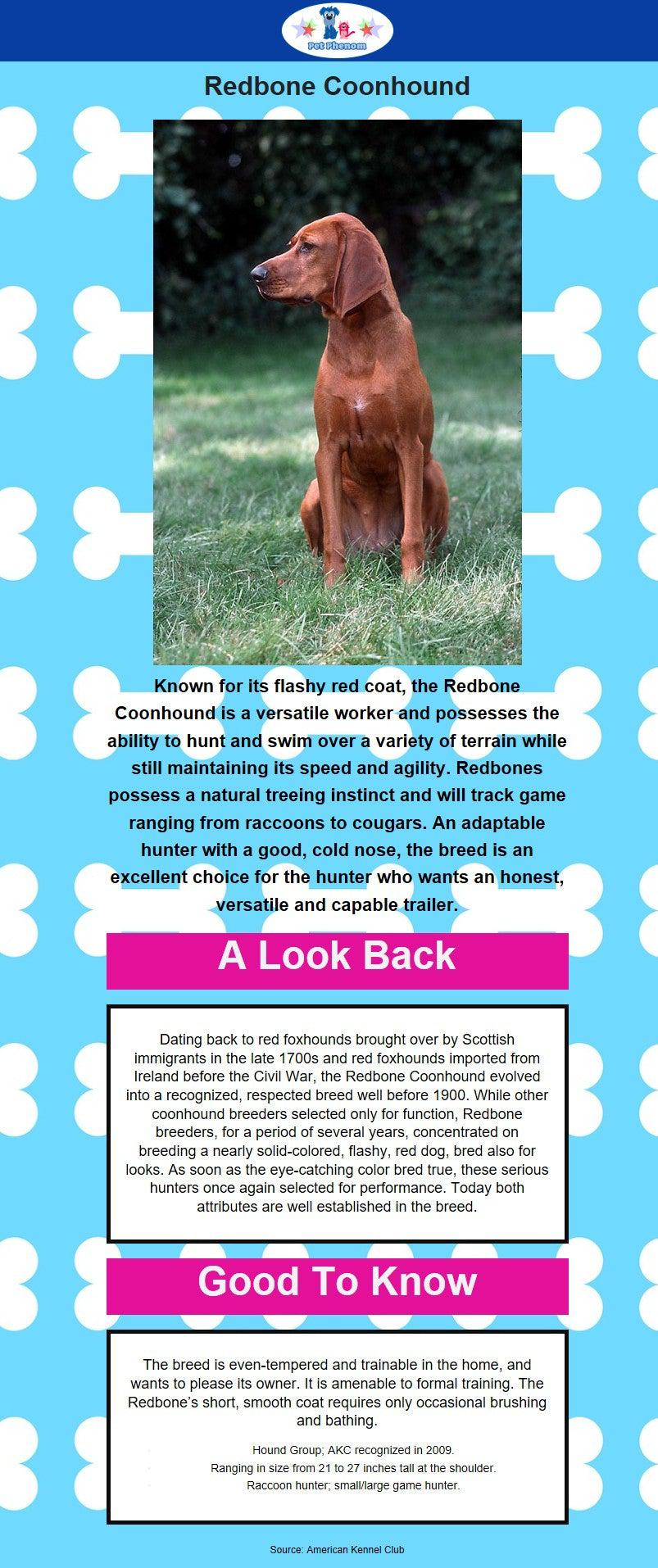 Redbone Coonhound