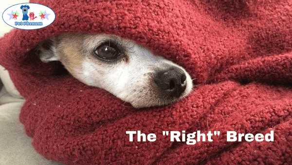 The "Right" Breed