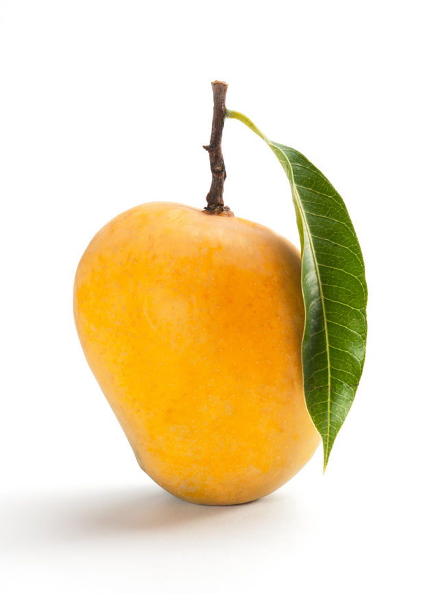 alphonso mango