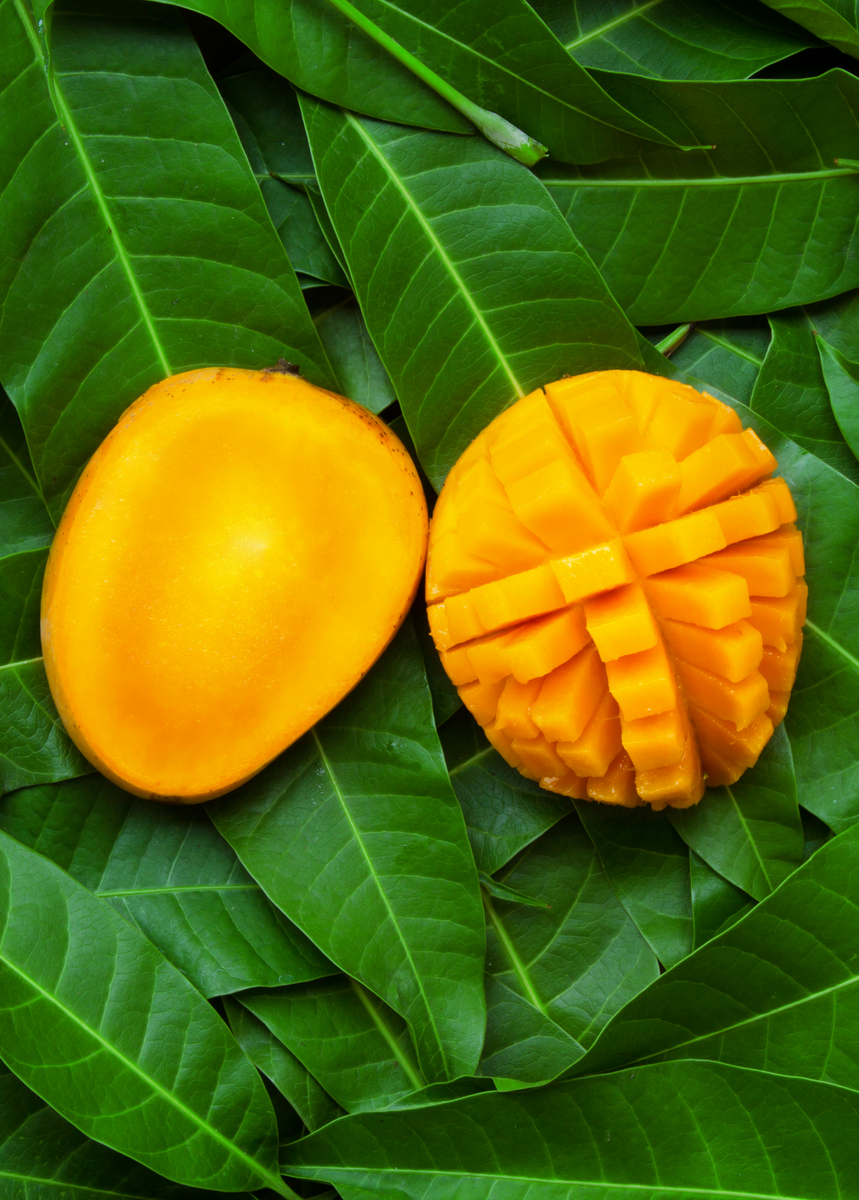 Манго шри ланка. Йеменский манго. Астралийский манго. Motiko тропический манго.