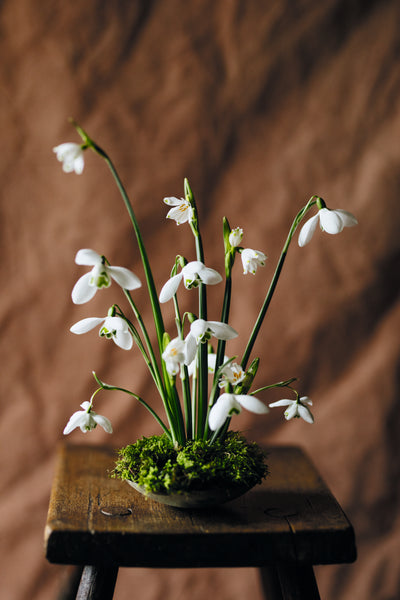 Milli Proust Flower Arrangement