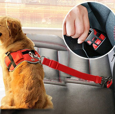 mighty paw safety belt