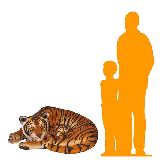 Anatomy :: The-fabulous-bengal-tigers