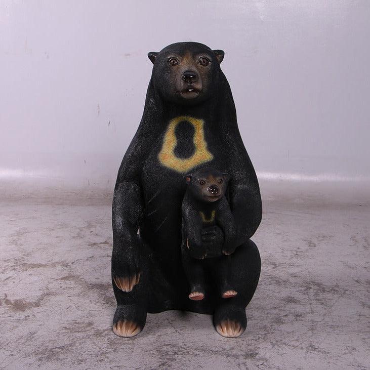 sun bear size