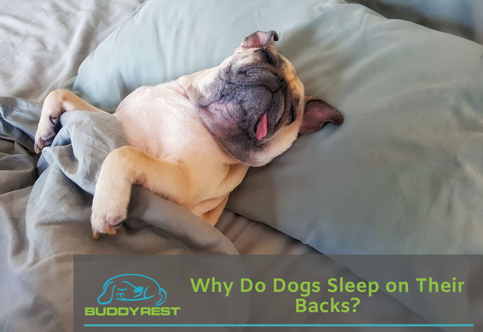 why do dogs limp after sleeping