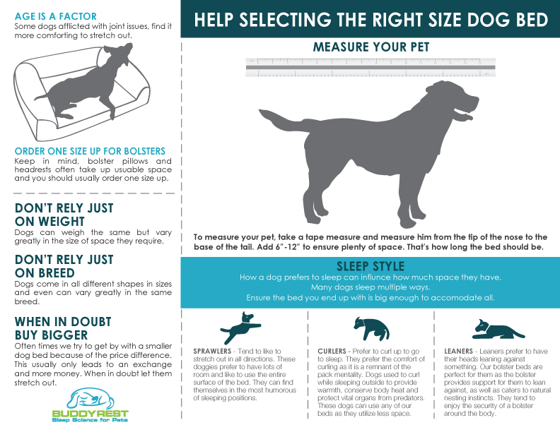 Lands End Dog Bed Size Chart