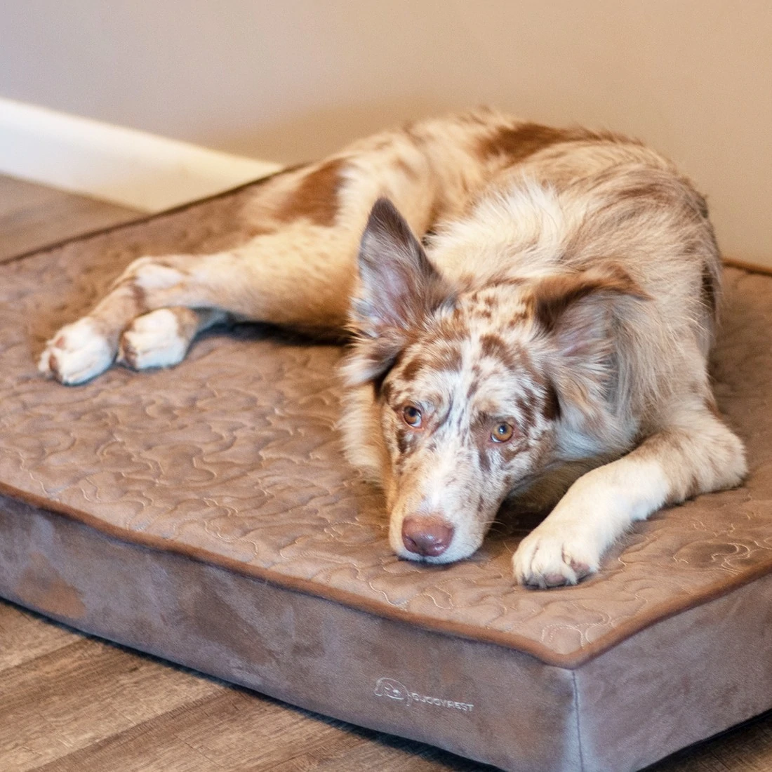 Orthopedic Dog Beds