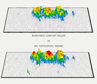 Bed Comparison Graphic