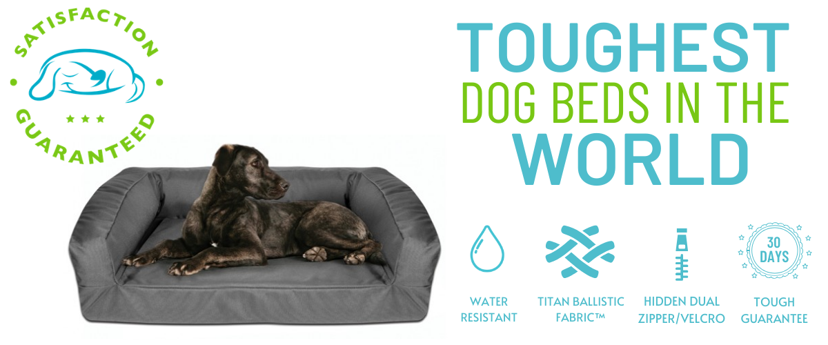 Chew Proof Dog Beds: BuddyRest World's Toughest Dog Beds