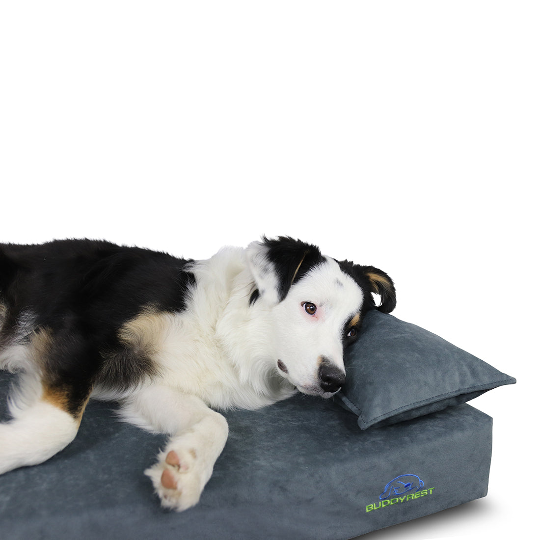 dog bolster pillow