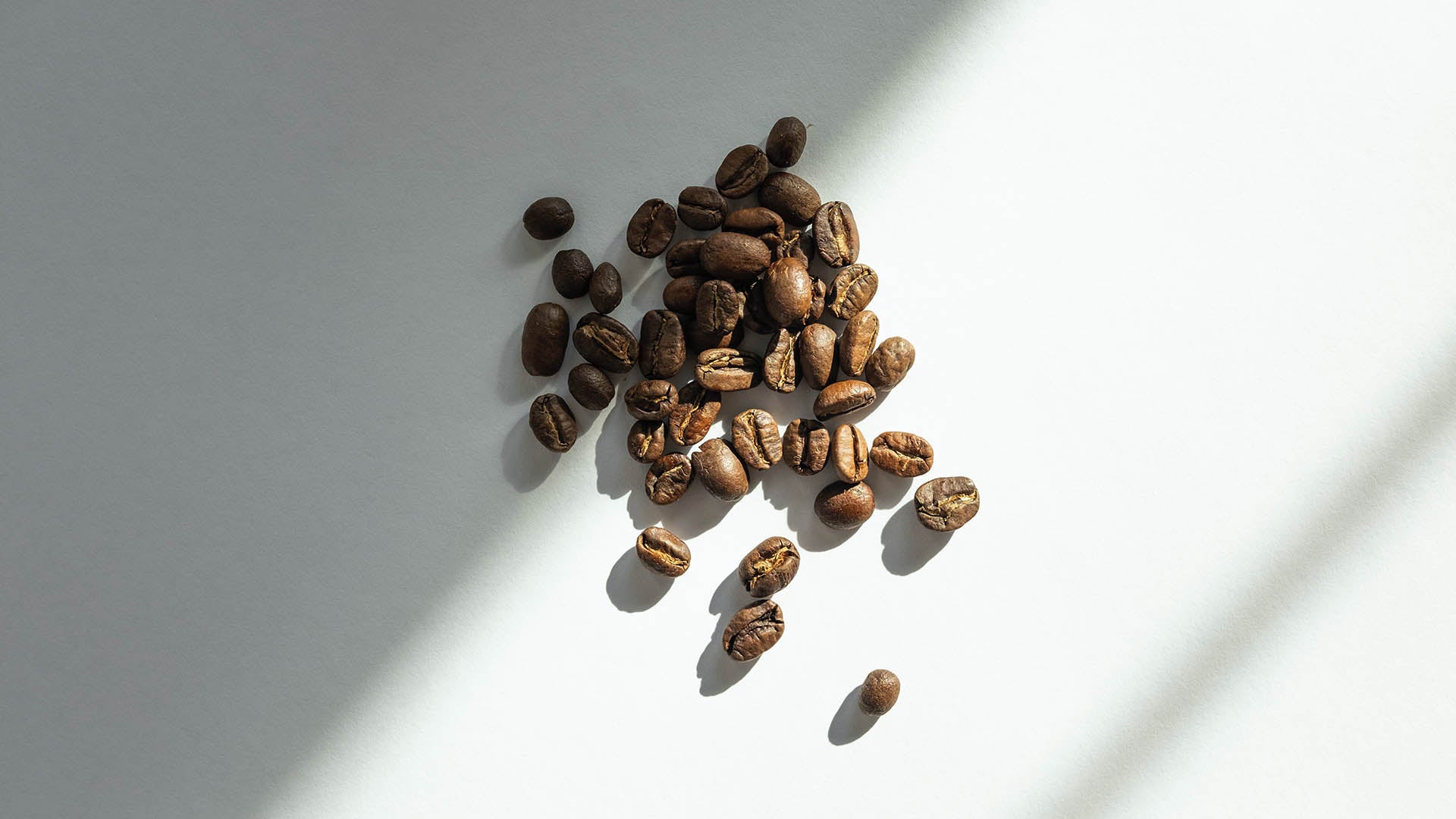 Coffee Beans Tailor Skincare