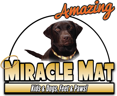 Best Doormats For Dogs As Seen On Tv Door Mat Miracle Mat