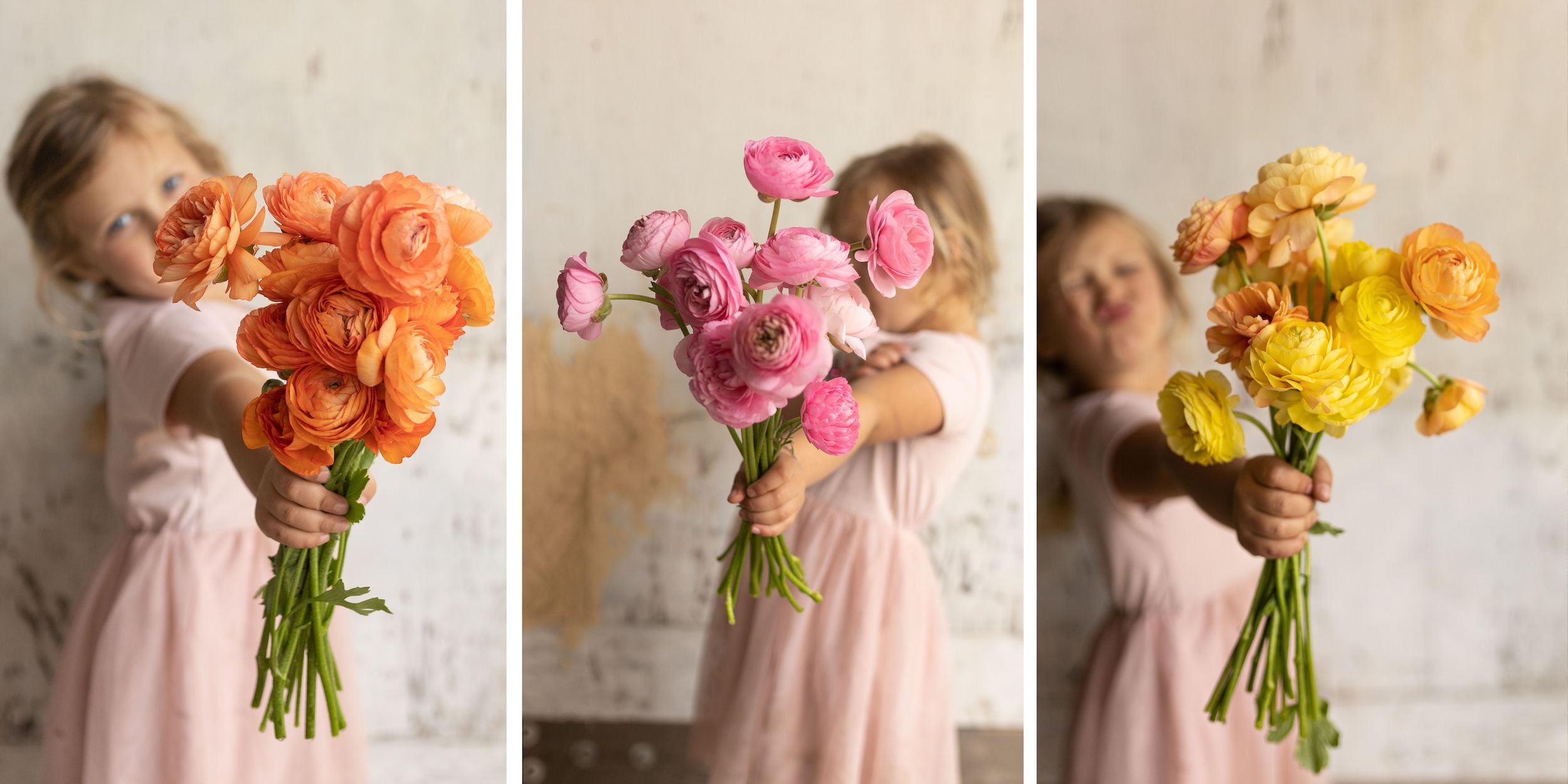 ranunculus bouquets