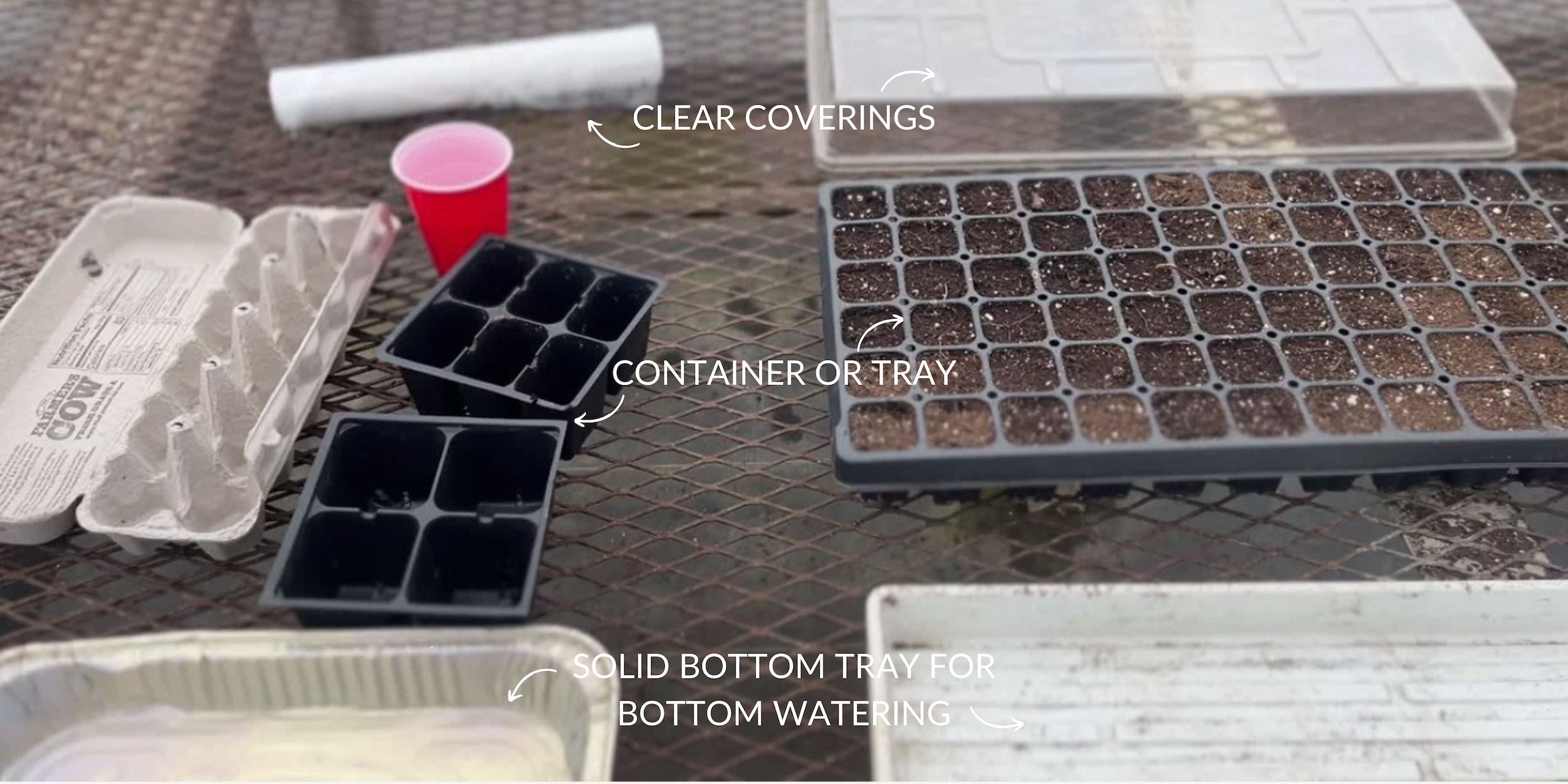 Choosing the right container for seed starting at Rooted Flowers.