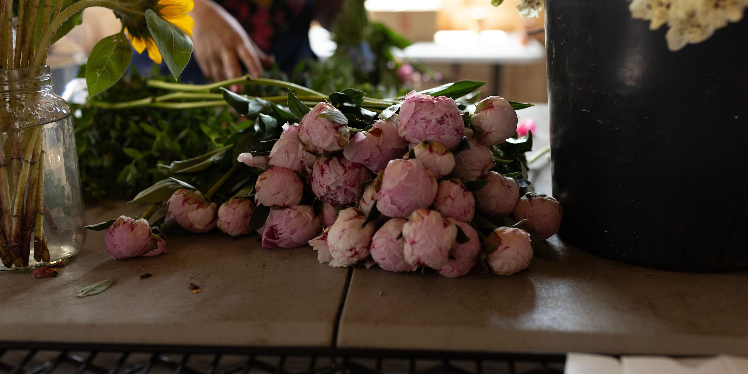 Peonies at rooted flowers