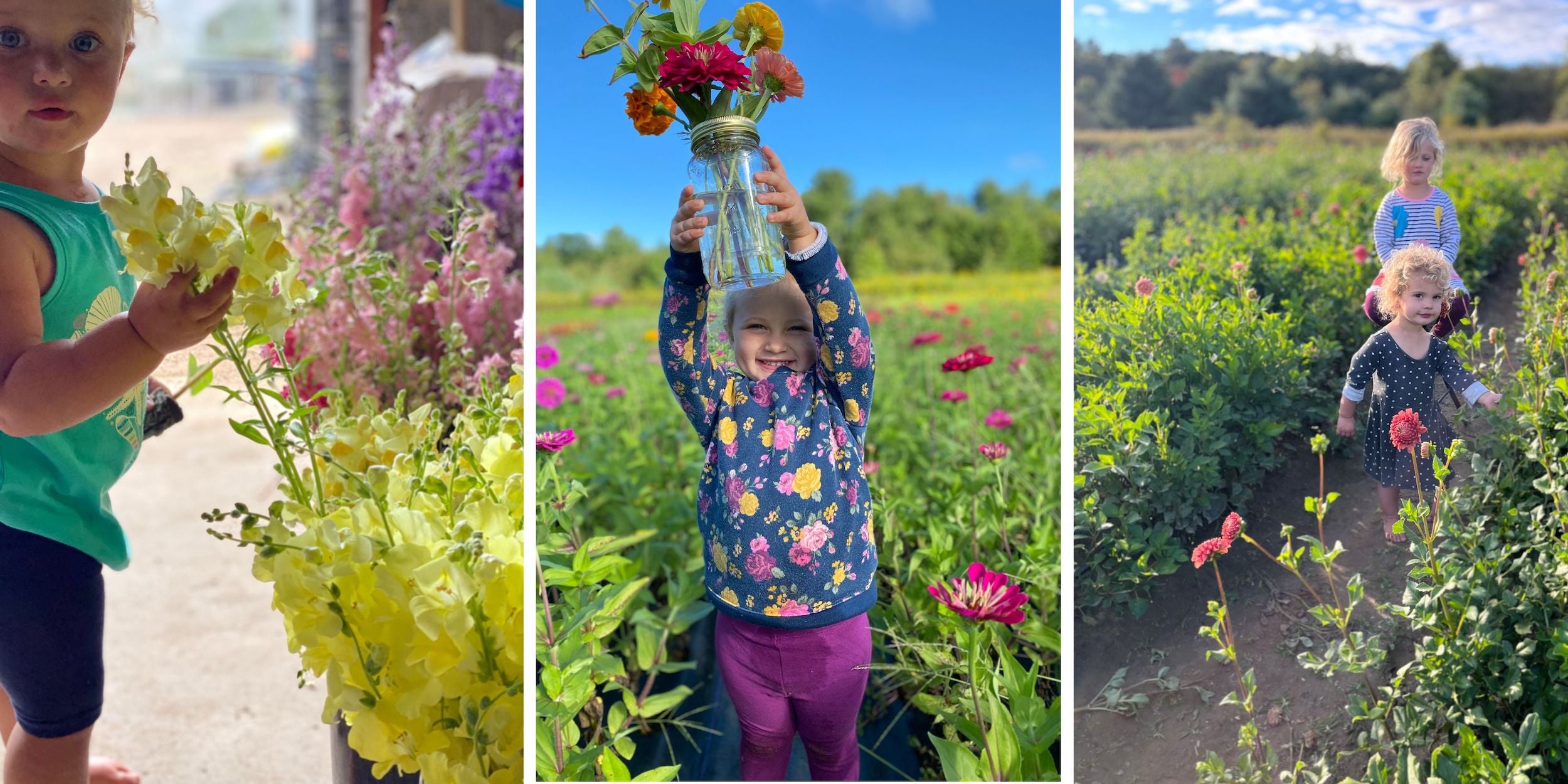 An inspirational picture of the girls at Rooted Flowers in the garden.