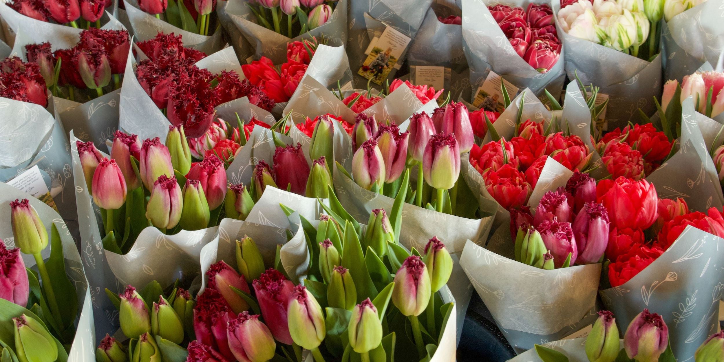 tulip bouquets