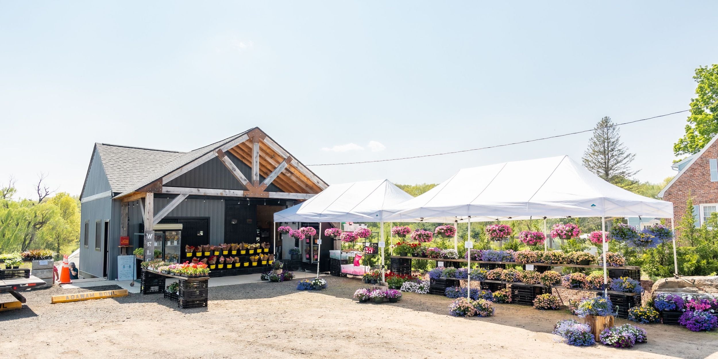 rooted flowers farmstand