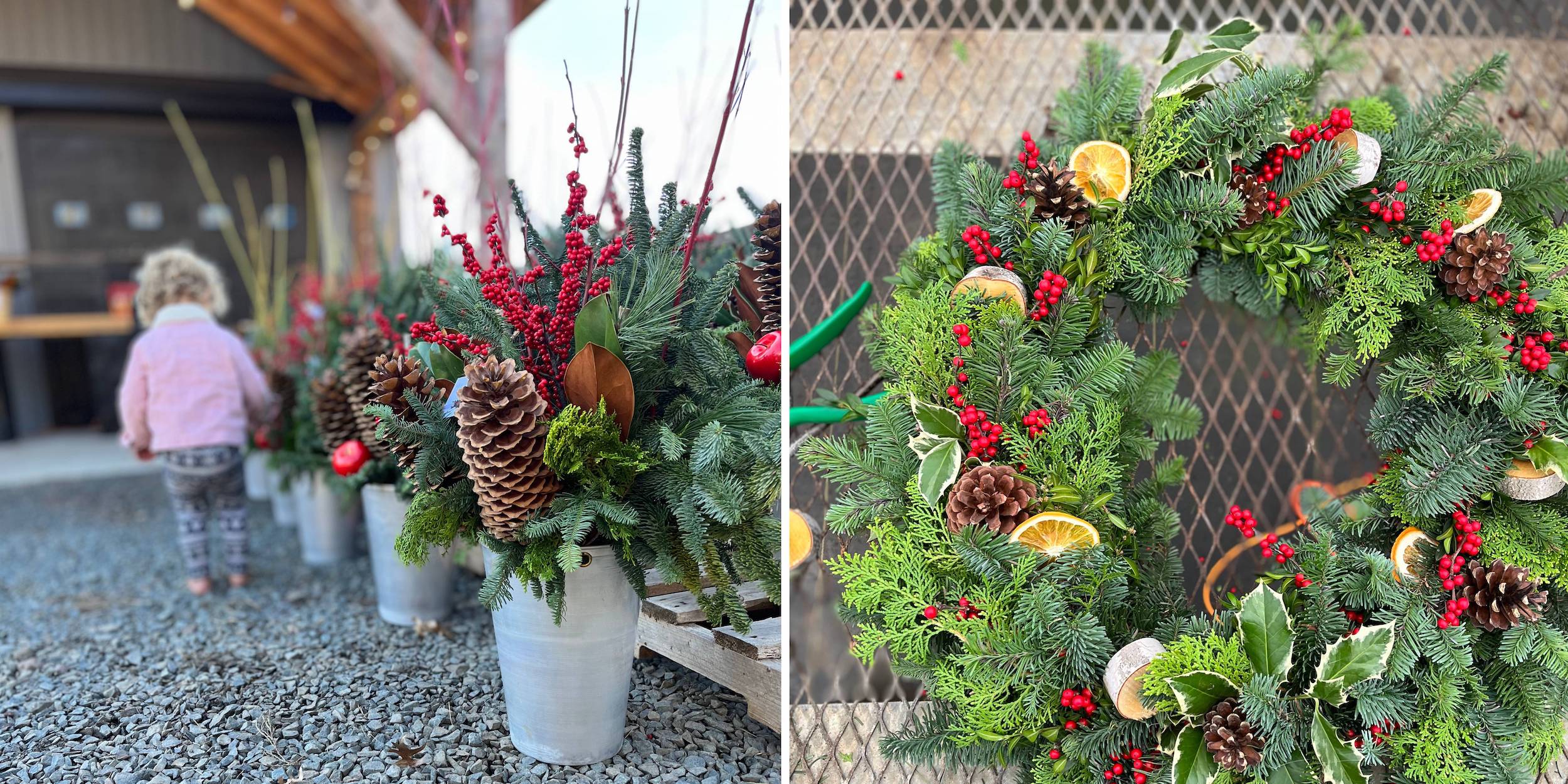 Winter holiday arrangements at Rooted Flowers.