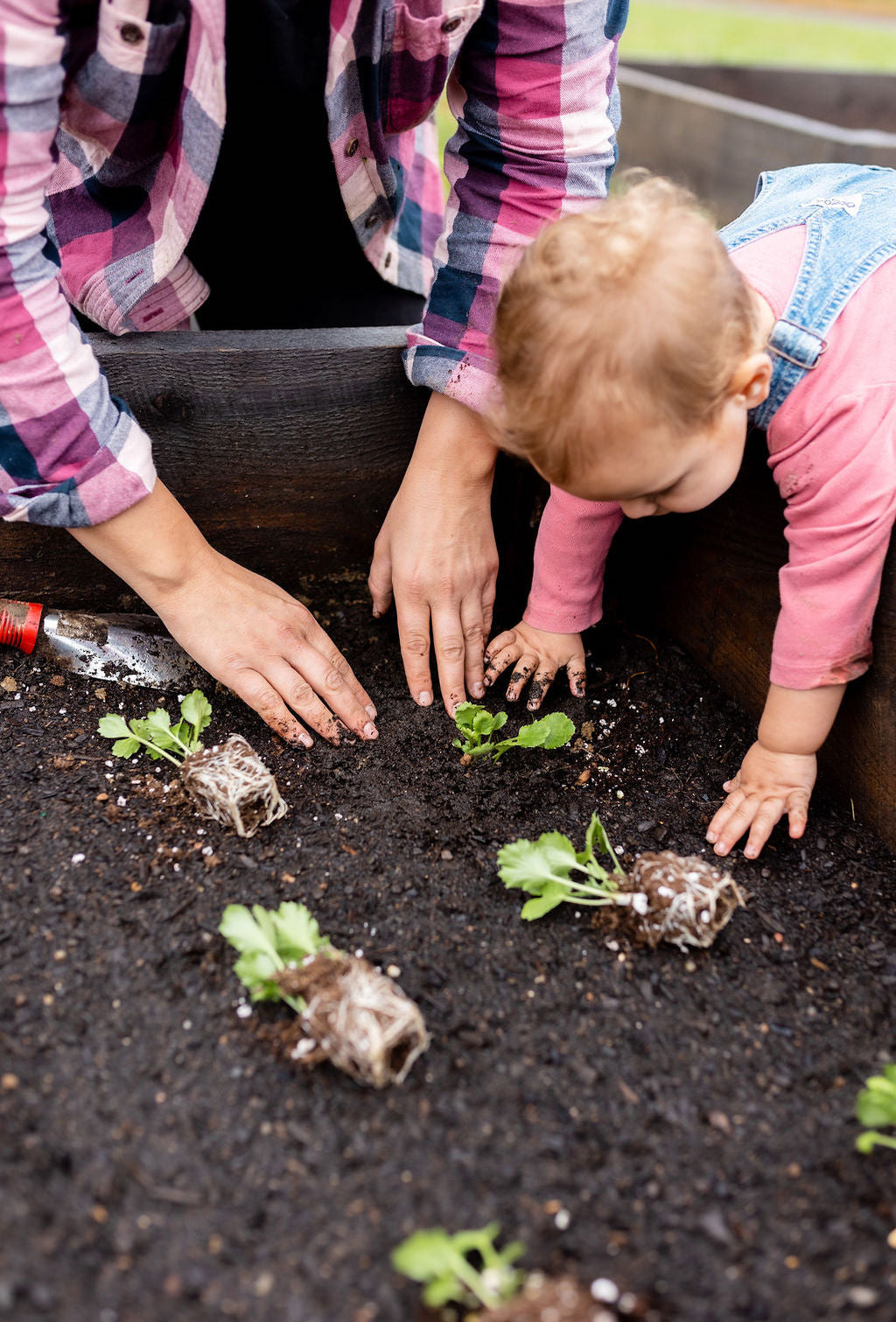 Planting at Rooted Flowers