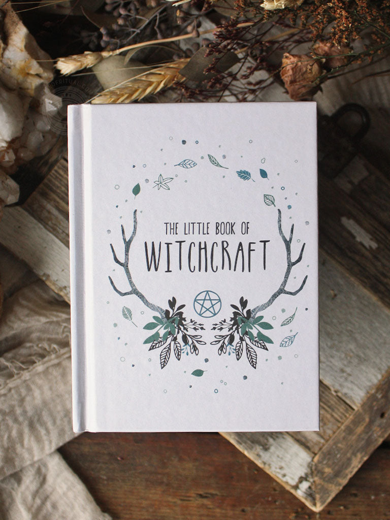 The Mini Witches' Wealth Spell Book - Little Obsessed