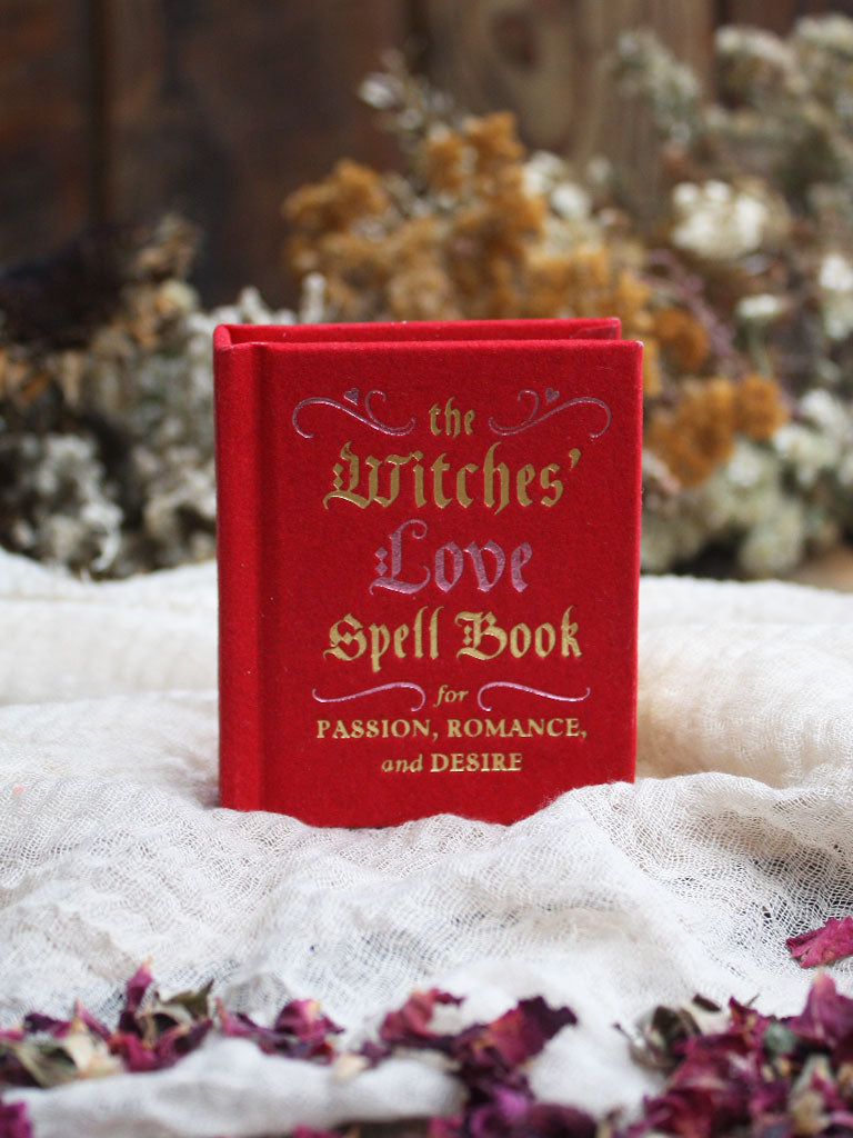 Modern Witch Red Grimoire - Love Spells - Red and White Magic Rituals.  Filters and Natural Potions for Matters of the Heart and Seduction  (Paperback)