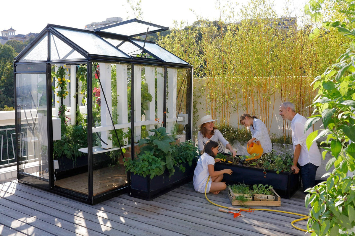 Serre de jardin polycarbonate : pour un potager précoce et durable