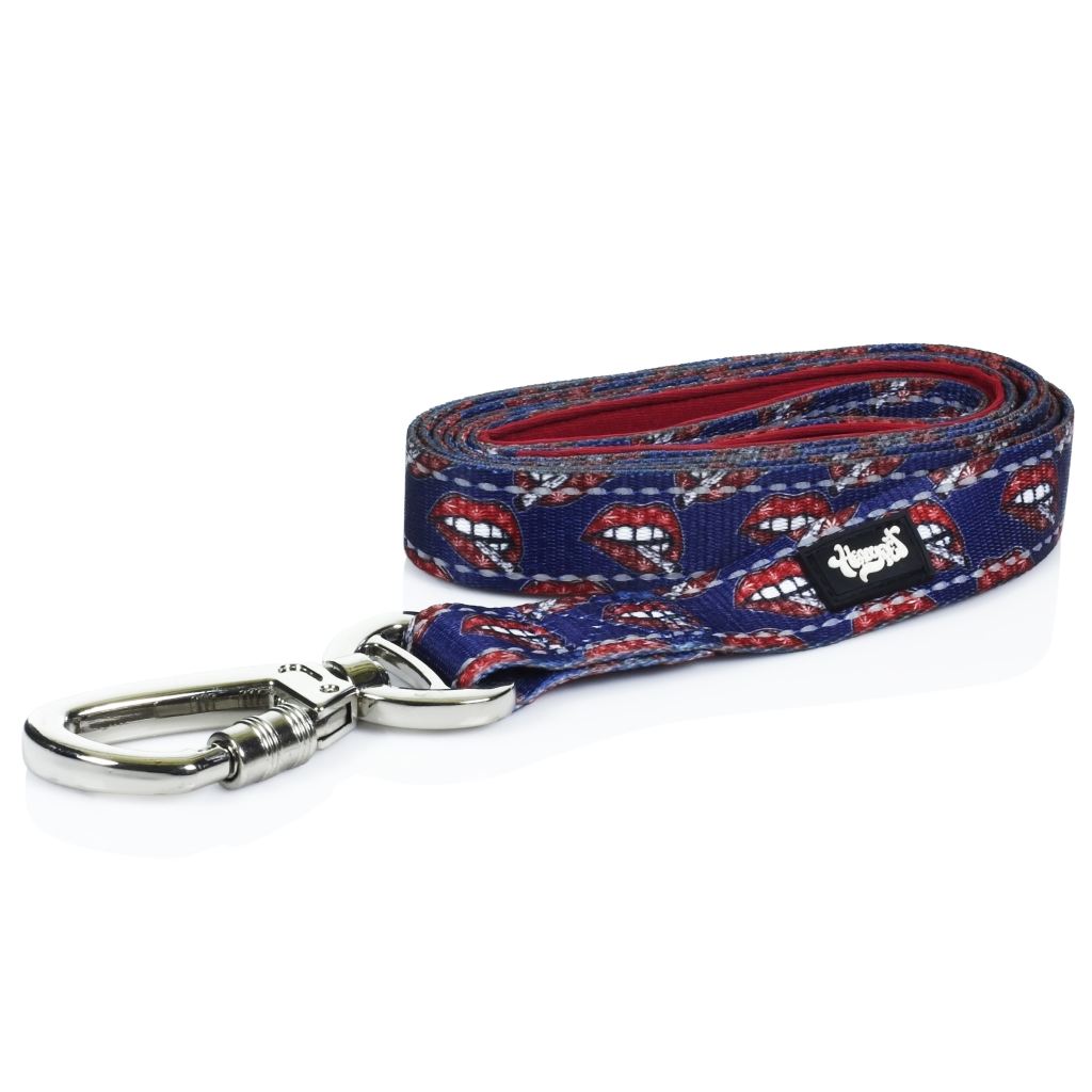 Heady Pet™ Dog Leash - Lips & Joints - Heady Pet product image