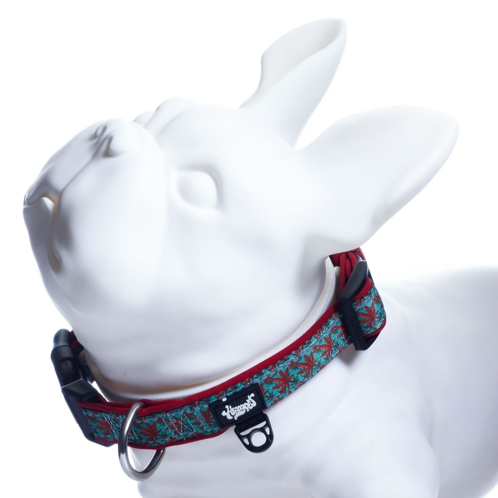 HeadyPet™ Collar V2 - Caribbean - Heady Pet product image