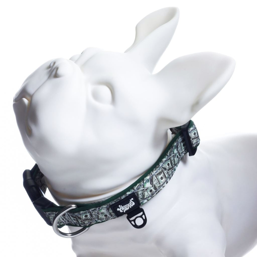 HeadyPet™ Collar V2 - Money - Heady Pet product image