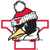 YSU Penguins