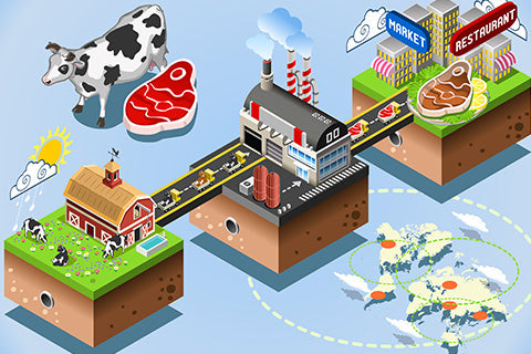 A colorful infographic showing how meat is farmed, processed, and delivered to customers.
