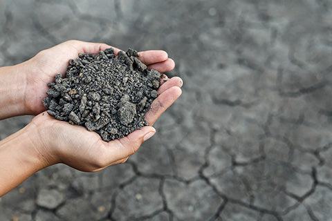 A person holding dry earth in their cupped hands over a field of dried, cracked land.